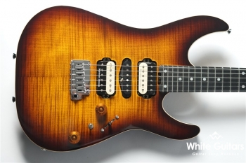 NV-3-24-AL-VTR - Bengal Burst #S2006142